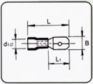 V-B_Type-D